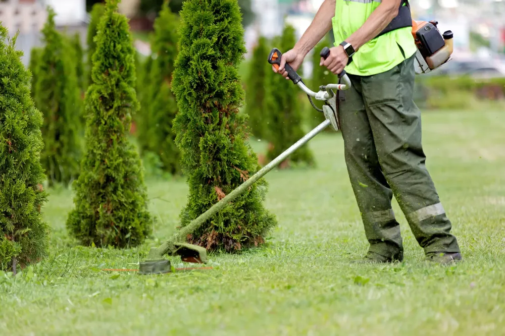entretien jardin