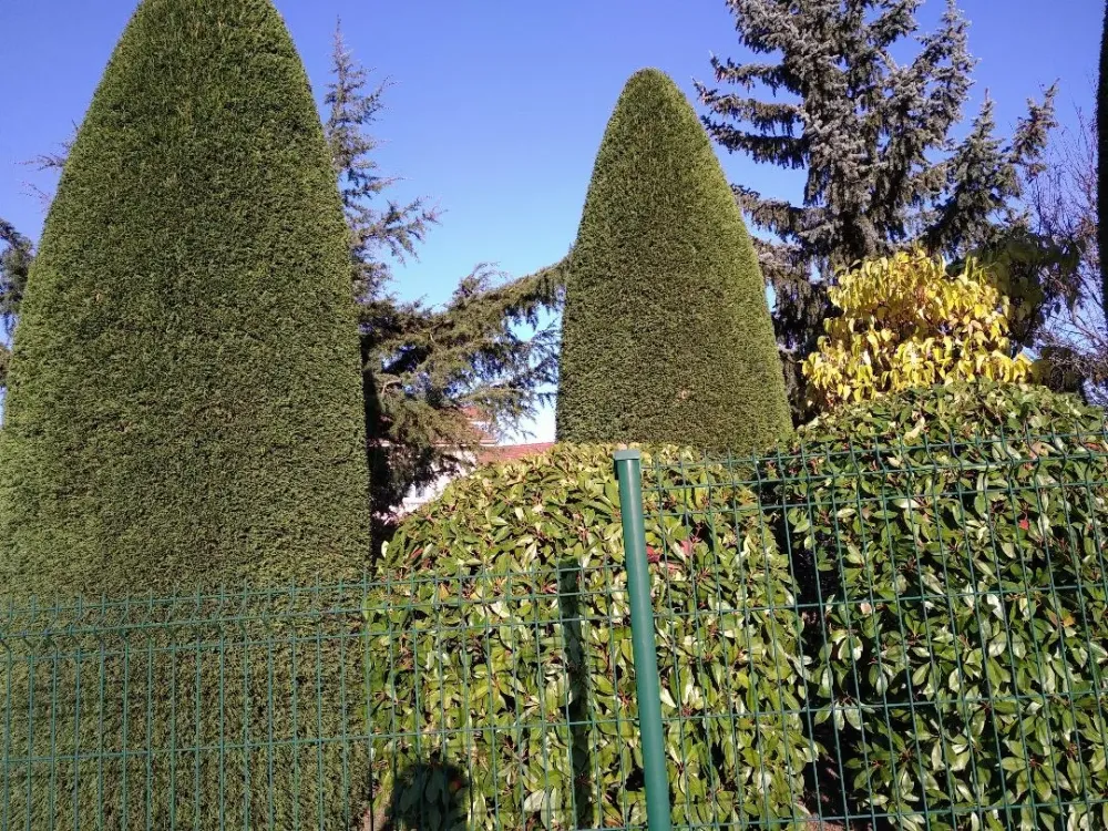 entretein